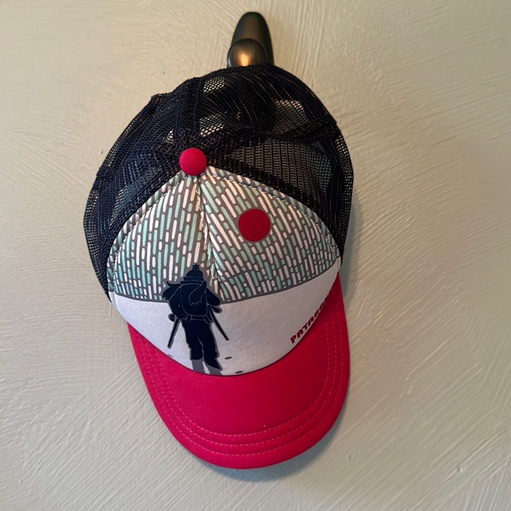 Patagonia Trucker Ski Hat